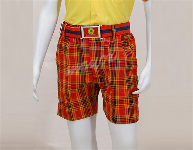 Boy Summer Nicker Red Check