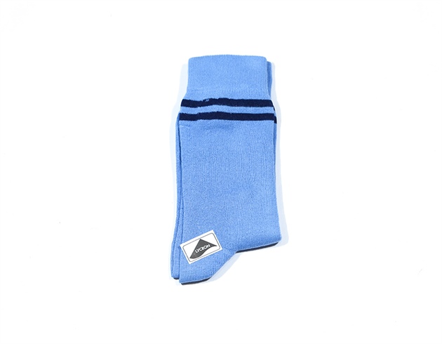Summer Socks Blue