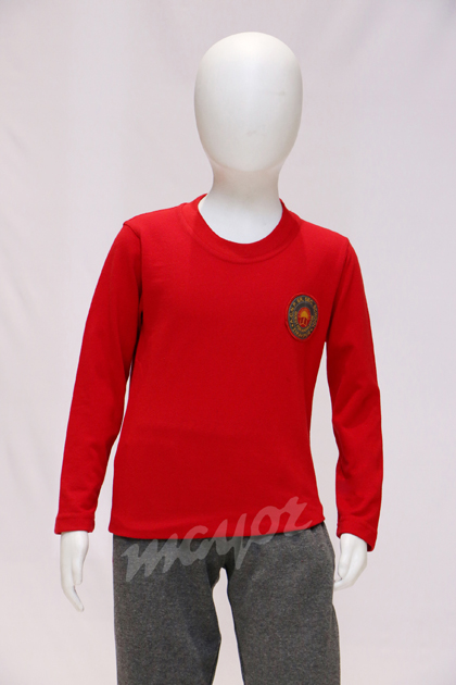 Winter Tshirt Fullsleeves Red